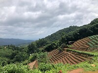 IMG_9319