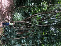 IMG_9323