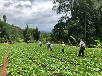 IMG_9335