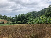 IMG_9342