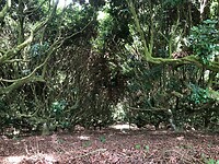 IMG_9347