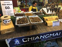 IMG_9406
