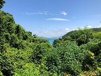 IMG_9645