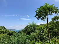 IMG_9646