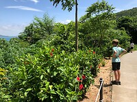 IMG_9647