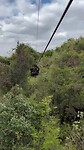 Zipeline 4