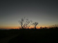 IMG_3559