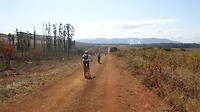 DSC02515