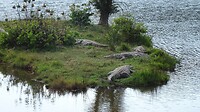 DSC02538