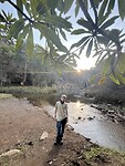 IMG_3878