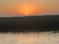 IMG_3944