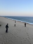 IMG_4074