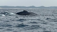 IMG_8046