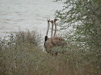 DSC03800