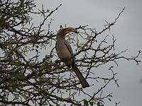 DSC03829