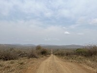 IMG_4242