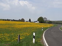 20180429_144520