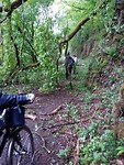 IMG_20180430_121041451