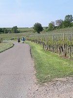 Rouffach