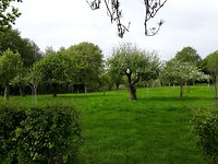 IMG-20180428-WA0020