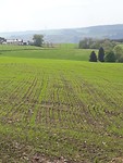 IMG-20180429-WA0011