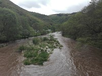 Putscheid
