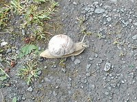 IMG_20180430_115217