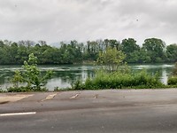 De Rijn