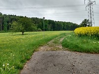 Landschap onderweg