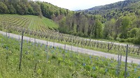 20190505_141209
