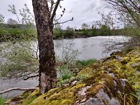 Mooi uitkijkje bij rivier de Thur