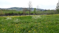 Natuur