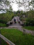 Dikkie op een oude stenen brug