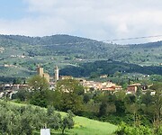 Vinci in de verte