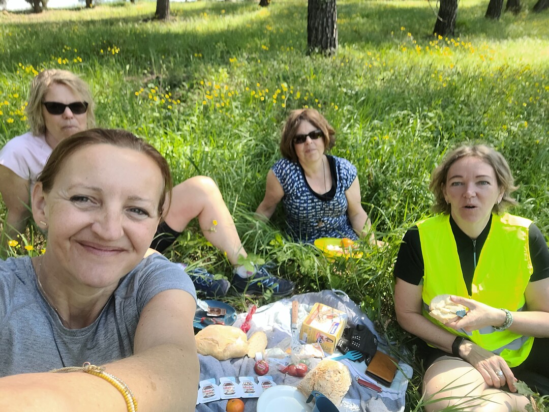 Leuke picknick