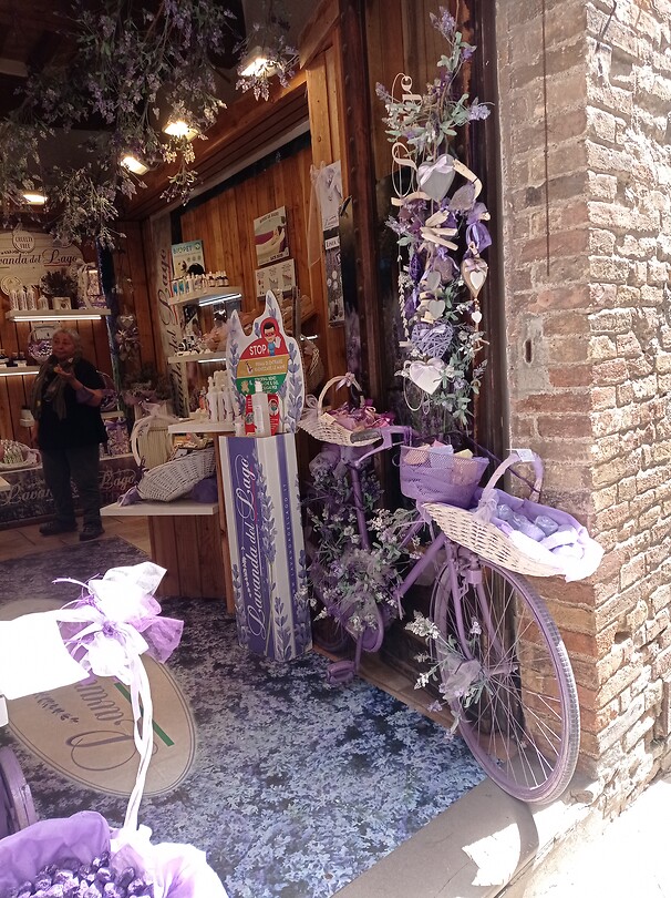 Lavendel fiets