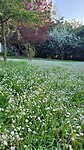 Bettolle, wat een tuin bij de B & B