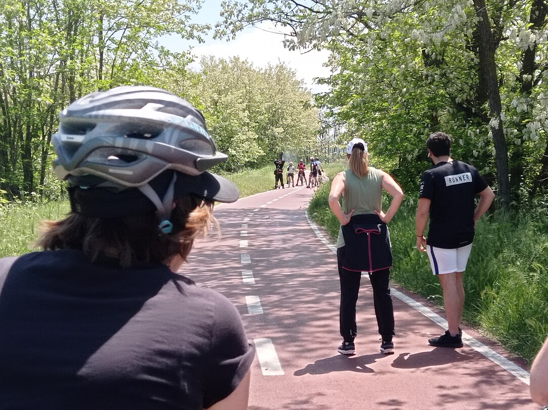 Wachten op zwerm wespen