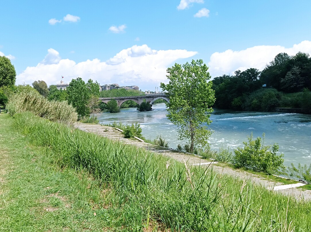 De Tiber