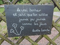 IMG_20180503_074715