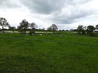 IMG-20180428-WA0011