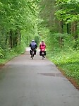 Mooi bospad bij Kaisten