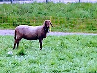 IMG_20190506_144333876-EFFECTS