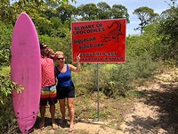 Surfen elephant rock