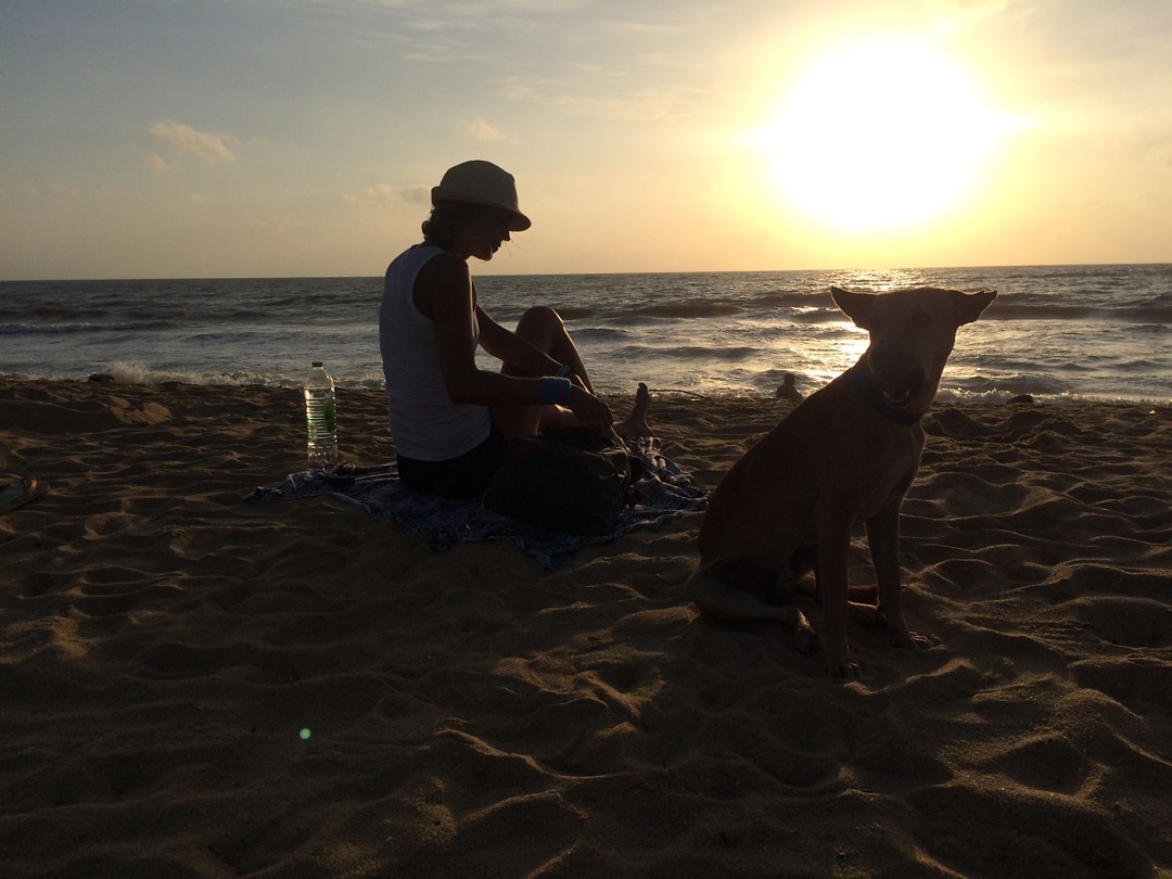 Laatste sunset Negombo