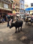 Mainroad Varanasi