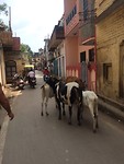 Mainroad Varanasi