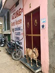 Azuri Guesthouse