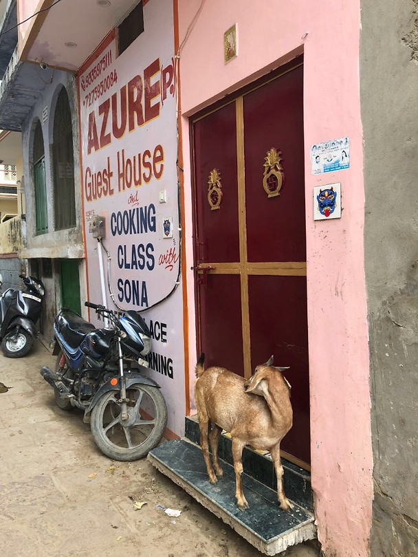 Azuri Guesthouse