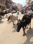 Mainroad Varanasi
